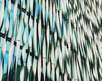 Low angle view of bamboo plants against the sky