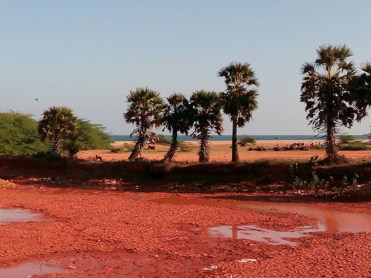 Land water sky