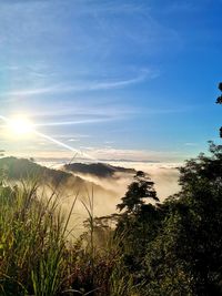 Scenic view of landscape against sky during sunset