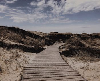 Boardwalk amidst plants on land against sky