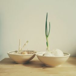 Close-up of food on table