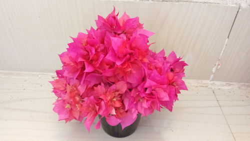 High angle view of pink flower vase on table