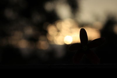 Close-up of silhouette flower against sky at sunset