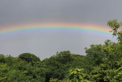 Low angle view of rainbow against sky