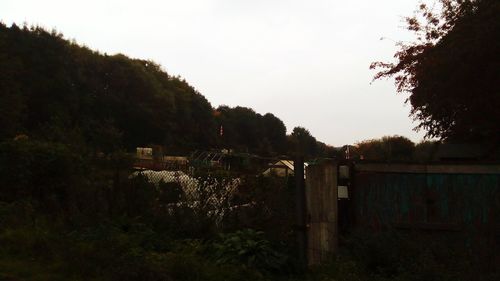 Trees and grass against sky