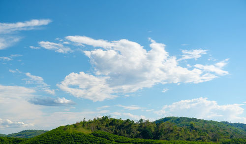 Low angle view of trees against sky