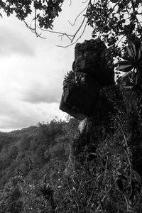 Low angle view of rocks on field against sky