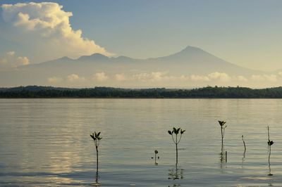 Scenic view of lake against sky