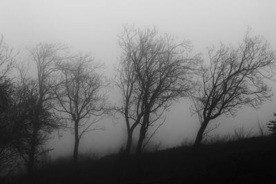 Silhouette bare trees against sky during foggy weather
