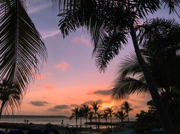 Silhouette palm trees on beach against sky at sunset