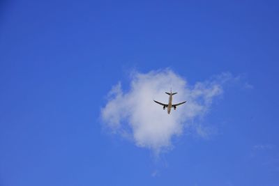 Airplane underneath a cloud