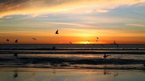 Scenic view of sea at sunset