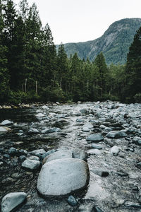 Scenic view of river against sky