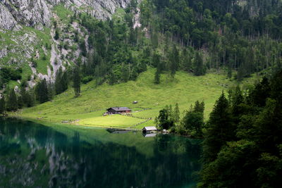 Scenic view of lake amidst trees in forest