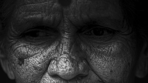 Full frame shot of horse