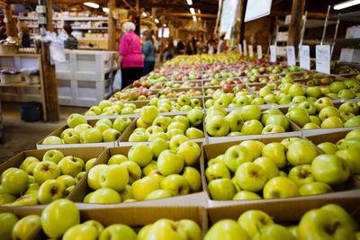 Fruits in market stall