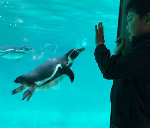 Boy with swimming penguin