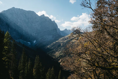 Low angle view of trees on mountain against sky