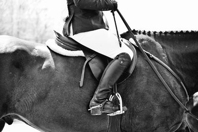 Rear view of man riding horse