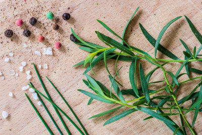 Tarragon, chives and pepper. aromatic herbs and spices