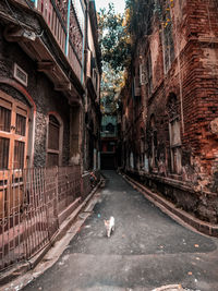 View of alley amidst buildings in city