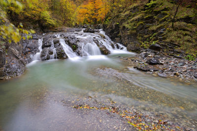 Stream flowing in forest