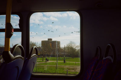 A flock of birds fly past a london bus window, hanwell 