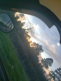 Reflection of trees on glass window