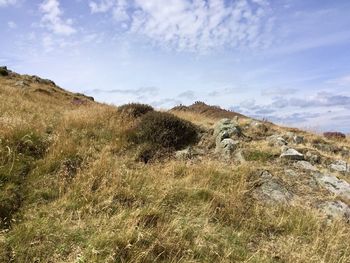 Low angle view of grassy hill with people on top against  sky