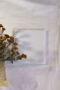 Close-up of white flower on table