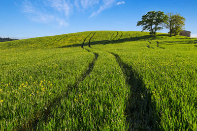 Scenic view of farm against sky