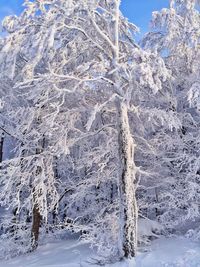 Scenic view of snow covered mountains