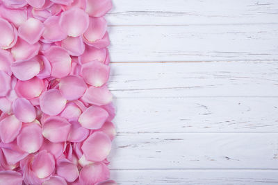 Directly above shot of pink flowers on table