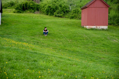 Big green grass field on a gentle hill with a young solitary person.  rural nature background