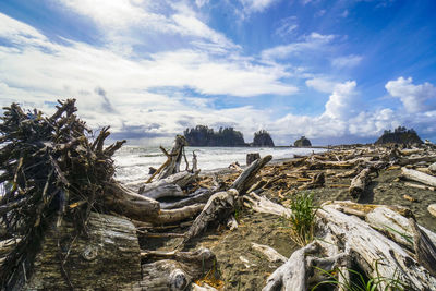 Scenic view of beach against sky