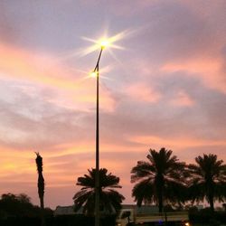 Silhouette palm trees against sky during sunset