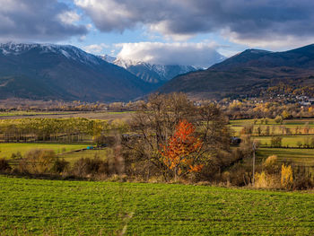 Scenic view of field against sky