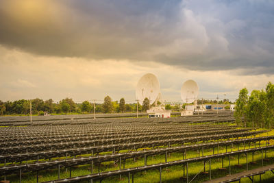 Plants growing in farm against sky