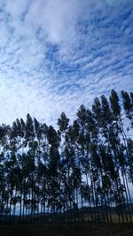 Trees on landscape against sky