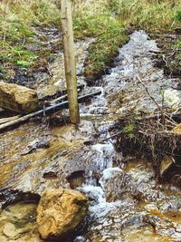 Stream flowing through rocks in forest