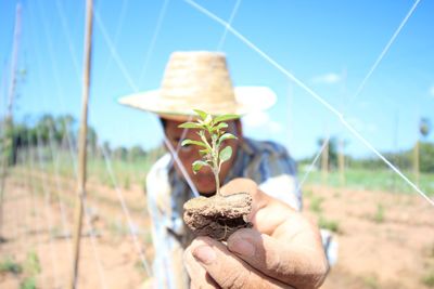 Man holding plant on field during sunny day