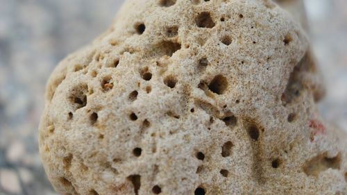 Close-up of bread