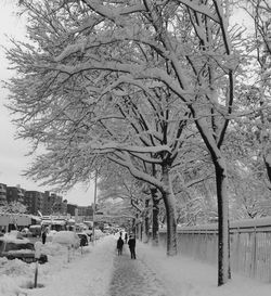 Bare trees on snow covered landscape