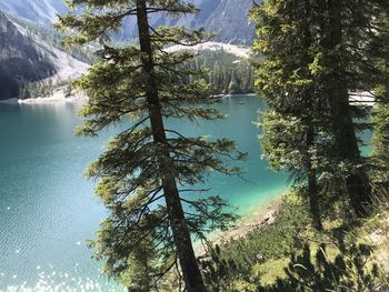 Scenic view of lake by tree mountains