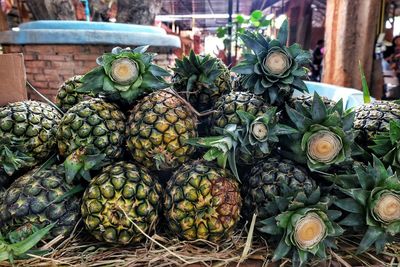 Close-up of fruits for sale in market