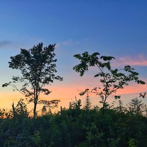 Scenic view of landscape at sunset