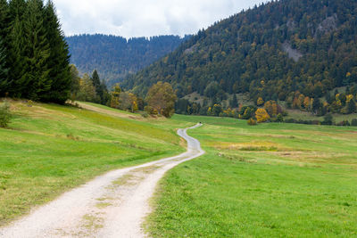 Scenic view of road amidst trees against sky