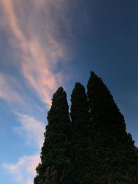 Low angle view of silhouette tree against sky at sunset