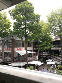 Trees in front of building