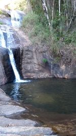 Scenic view of waterfall in forest